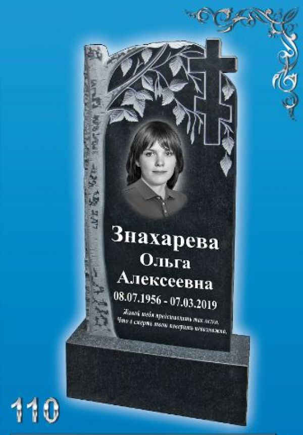 Памятник №-110